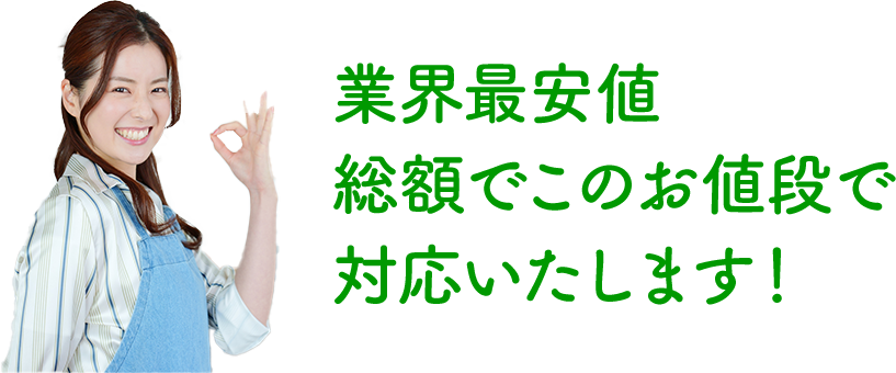 ̕sȂ痿0~